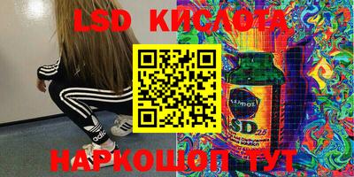 стафф Славгород