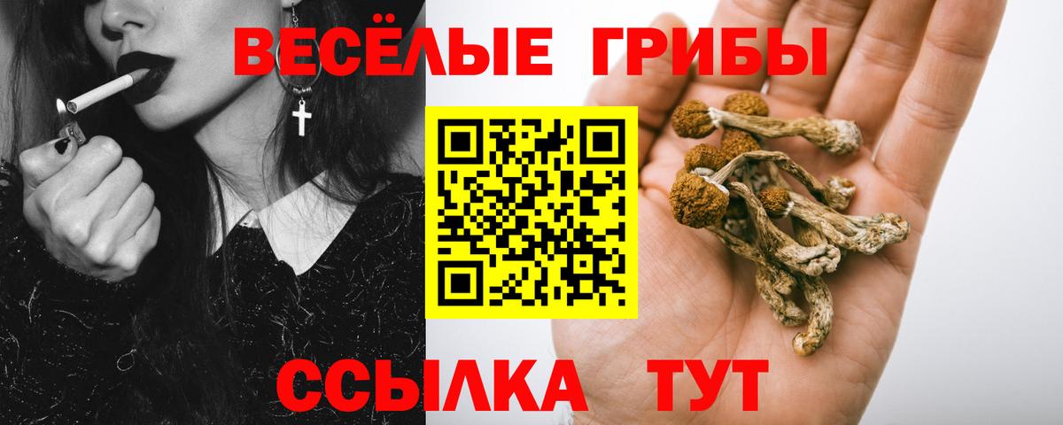 Петропавловск-Камчатский  Псилоцибиновые грибы GOLDEN TEACHER  сколько стоит  Вход с VPN 